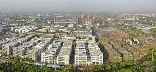 石城区金华镇新闻头条,聚焦乡村振兴，共绘美好家园新画卷